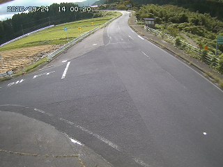 琴浦町三本杉