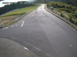 琴浦町三本杉