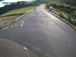 琴浦町三本杉