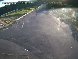 琴浦町三本杉