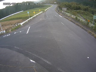琴浦町三本杉