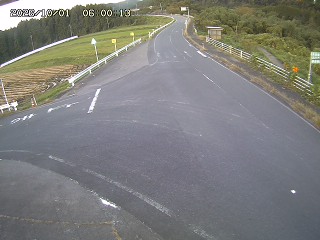 琴浦町三本杉
