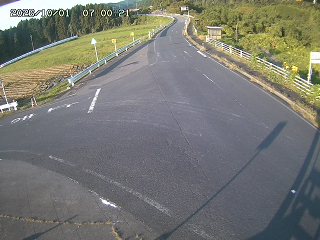 琴浦町三本杉