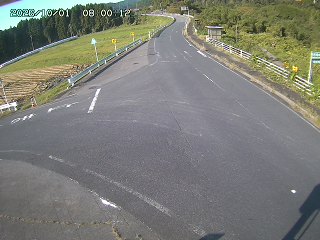 琴浦町三本杉