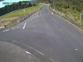琴浦町三本杉