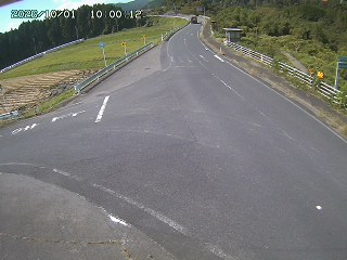 琴浦町三本杉