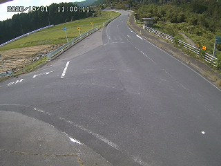 琴浦町三本杉
