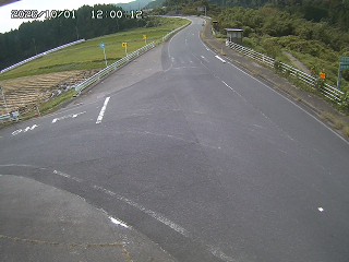 琴浦町三本杉
