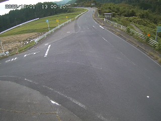 琴浦町三本杉
