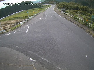 琴浦町三本杉