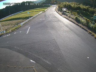 琴浦町三本杉