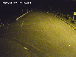 琴浦町三本杉