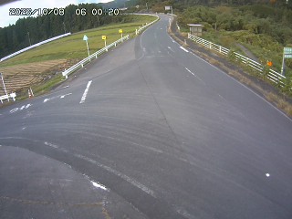 琴浦町三本杉