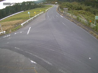 琴浦町三本杉