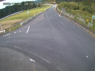 琴浦町三本杉