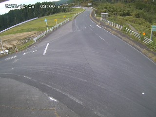 琴浦町三本杉