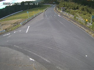 琴浦町三本杉