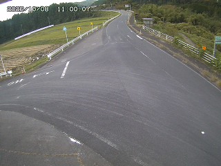 琴浦町三本杉