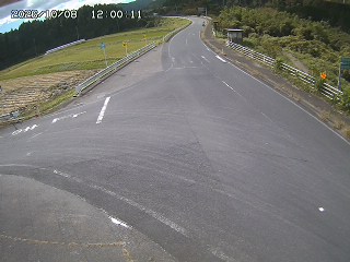 琴浦町三本杉