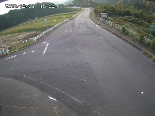 琴浦町三本杉