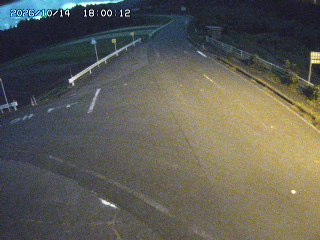 琴浦町三本杉