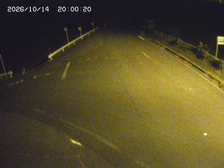 琴浦町三本杉