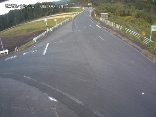 琴浦町三本杉