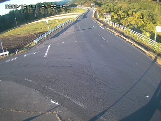 琴浦町三本杉