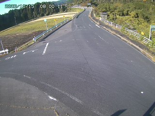 琴浦町三本杉