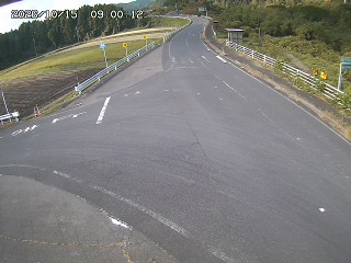 琴浦町三本杉