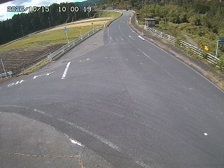 琴浦町三本杉