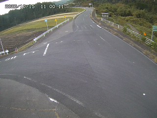 琴浦町三本杉