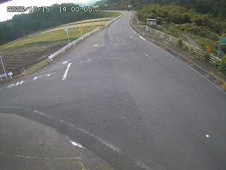 琴浦町三本杉