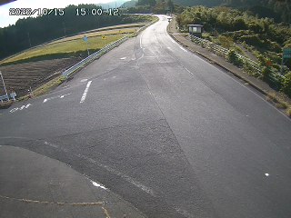 琴浦町三本杉