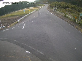 琴浦町三本杉
