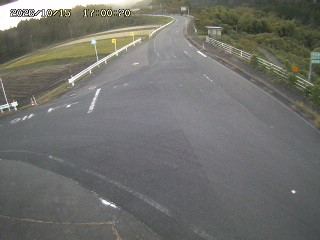 琴浦町三本杉