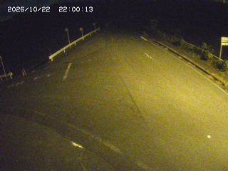 琴浦町三本杉