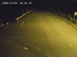 琴浦町三本杉