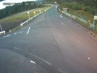 琴浦町三本杉