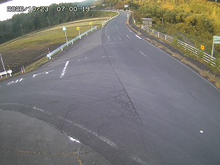 琴浦町三本杉