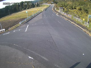 琴浦町三本杉