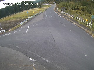 琴浦町三本杉