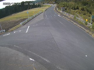 琴浦町三本杉