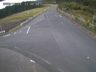 琴浦町三本杉