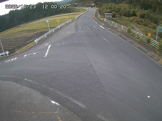 琴浦町三本杉