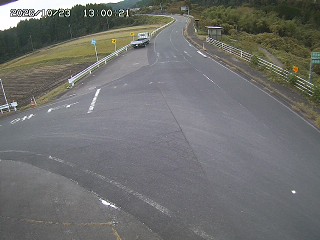 琴浦町三本杉