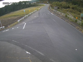 琴浦町三本杉
