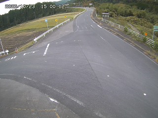 琴浦町三本杉