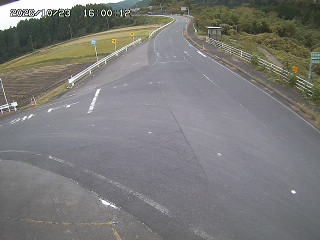 琴浦町三本杉