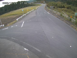 琴浦町三本杉